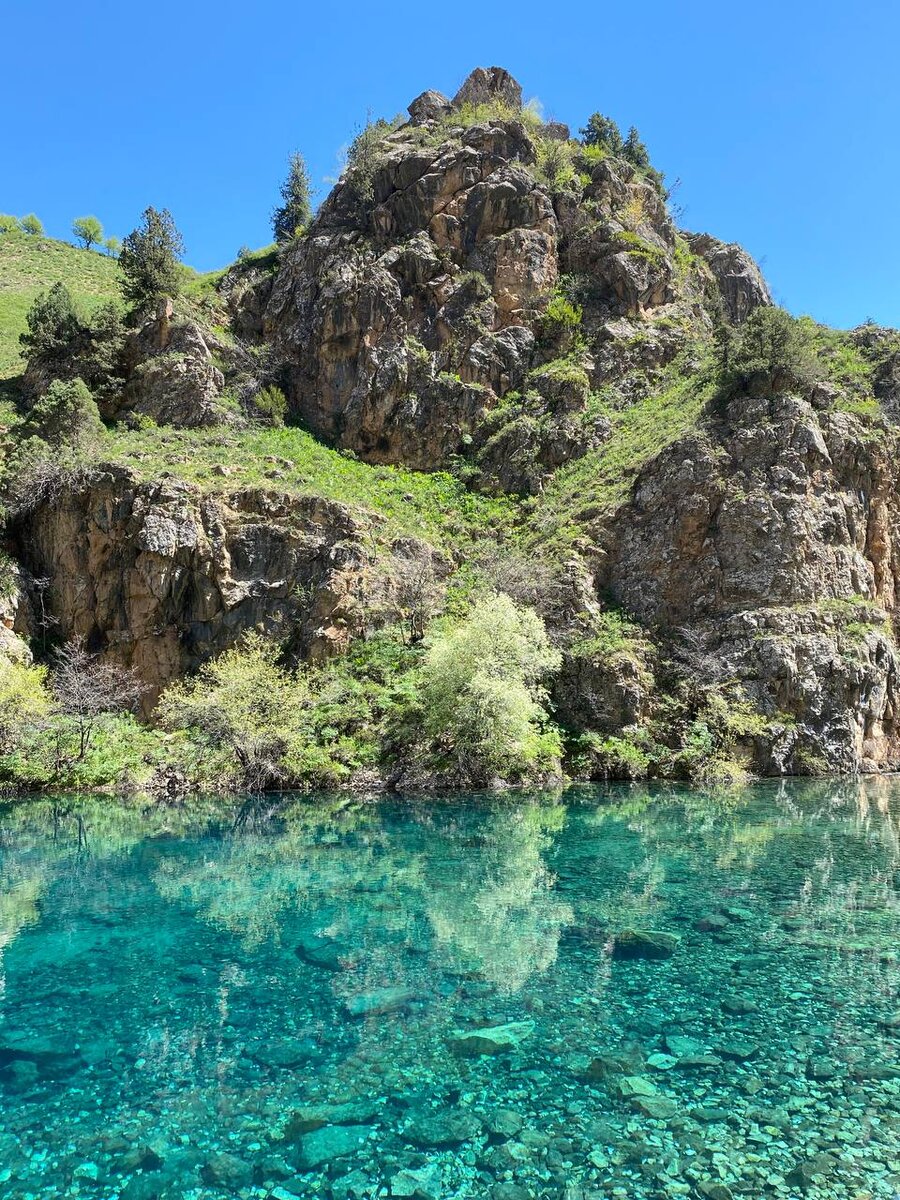 В воду как будто налили зеленки!