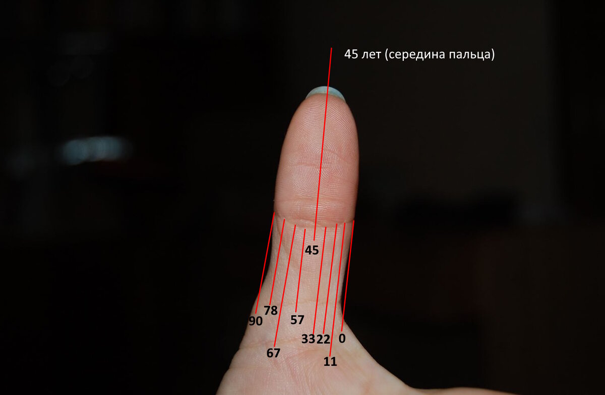 Большой палец - хиромантия