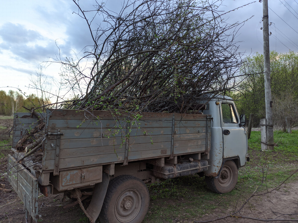 Уборка зарослей в старом саду. 
