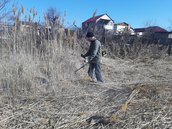 Очистка прудов и водоемов от ила на даче – какие бывают способы и средства - ВОДОЕМЧИК