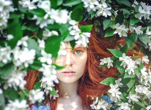 Картинка из интернета