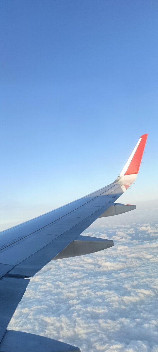 Полет прекрасен и проходит плавнее, чем поездка на авто по нашим дорогам