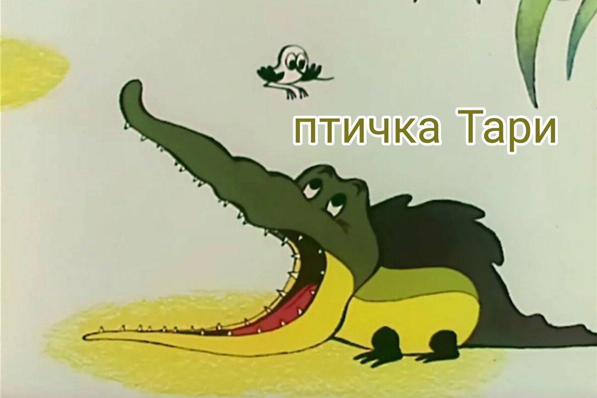 Птичка Тари 1976