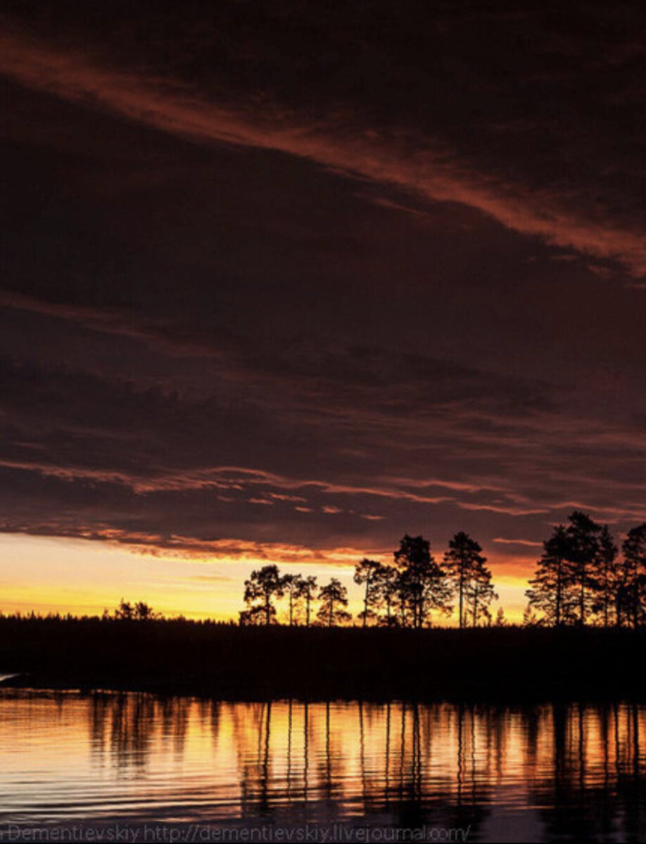 
По мшистым, топким берегам
Чернели избы здесь и там,
Приют убогого чухонца*
(А. С. Пушкин)

Чухонец* — житель финно-угорских земель под Петербургом
