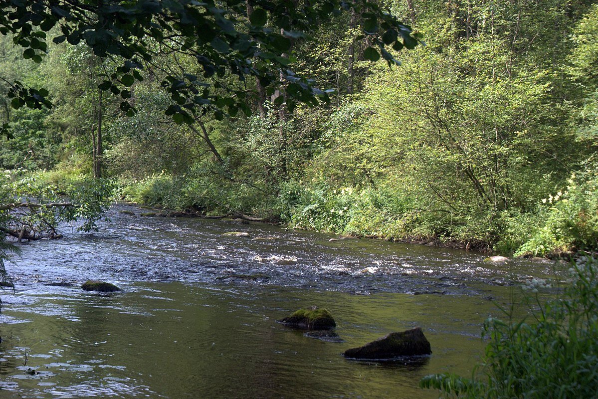 Речные перекаты.