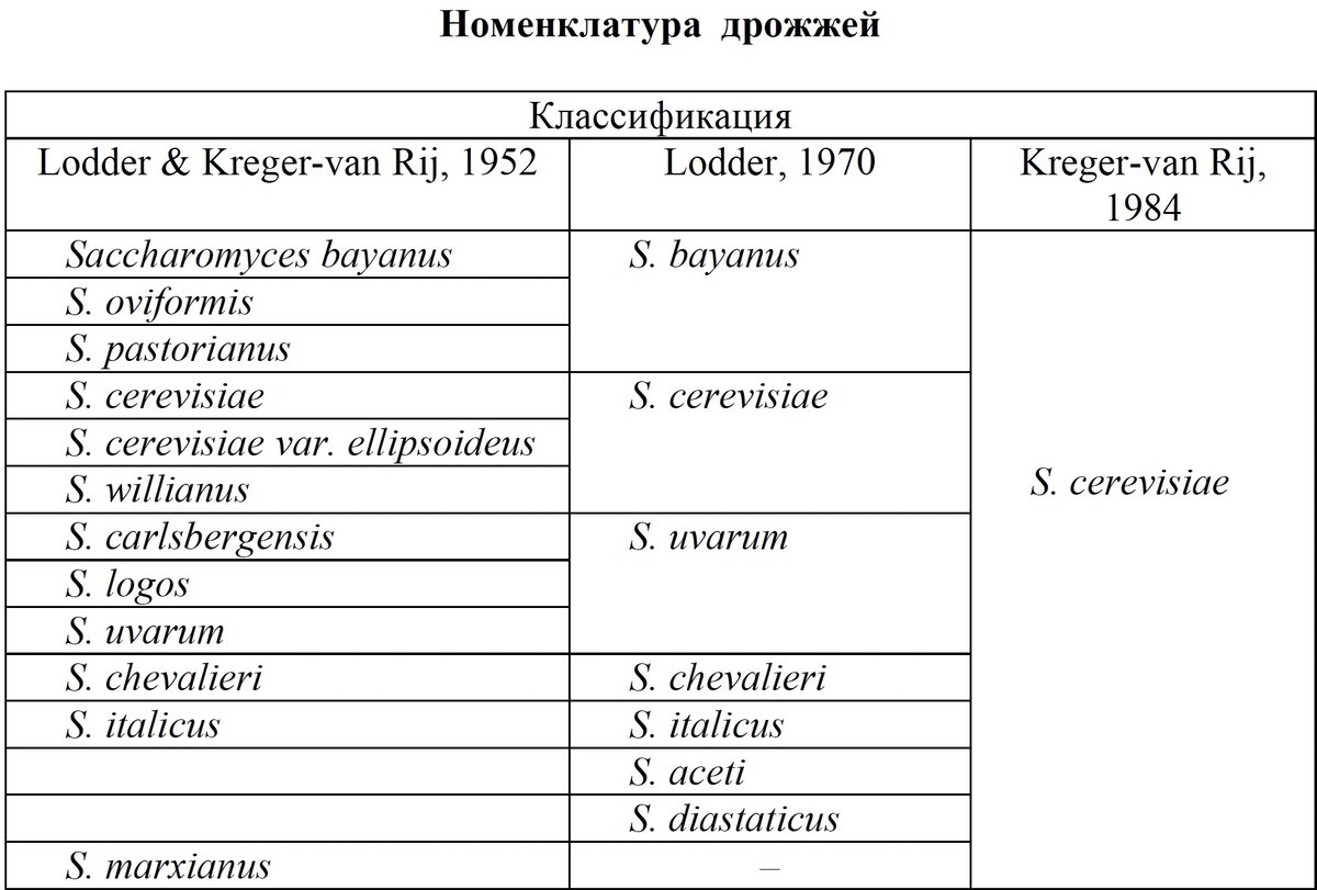 Все о дрожжах «Saccharomyces cerevisiae» | ООО ПРОБИОТЕХНОЛОГИИ | Дзен