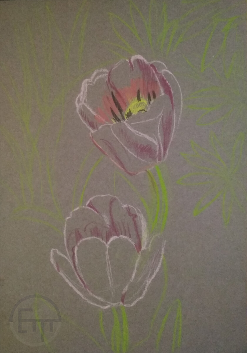 Художник Елена Тюрина. Процесс создания картины: "Красные тюльпаны". Стадия I . Сухая пастель. 2021 г. Размер: 29.7х21см.