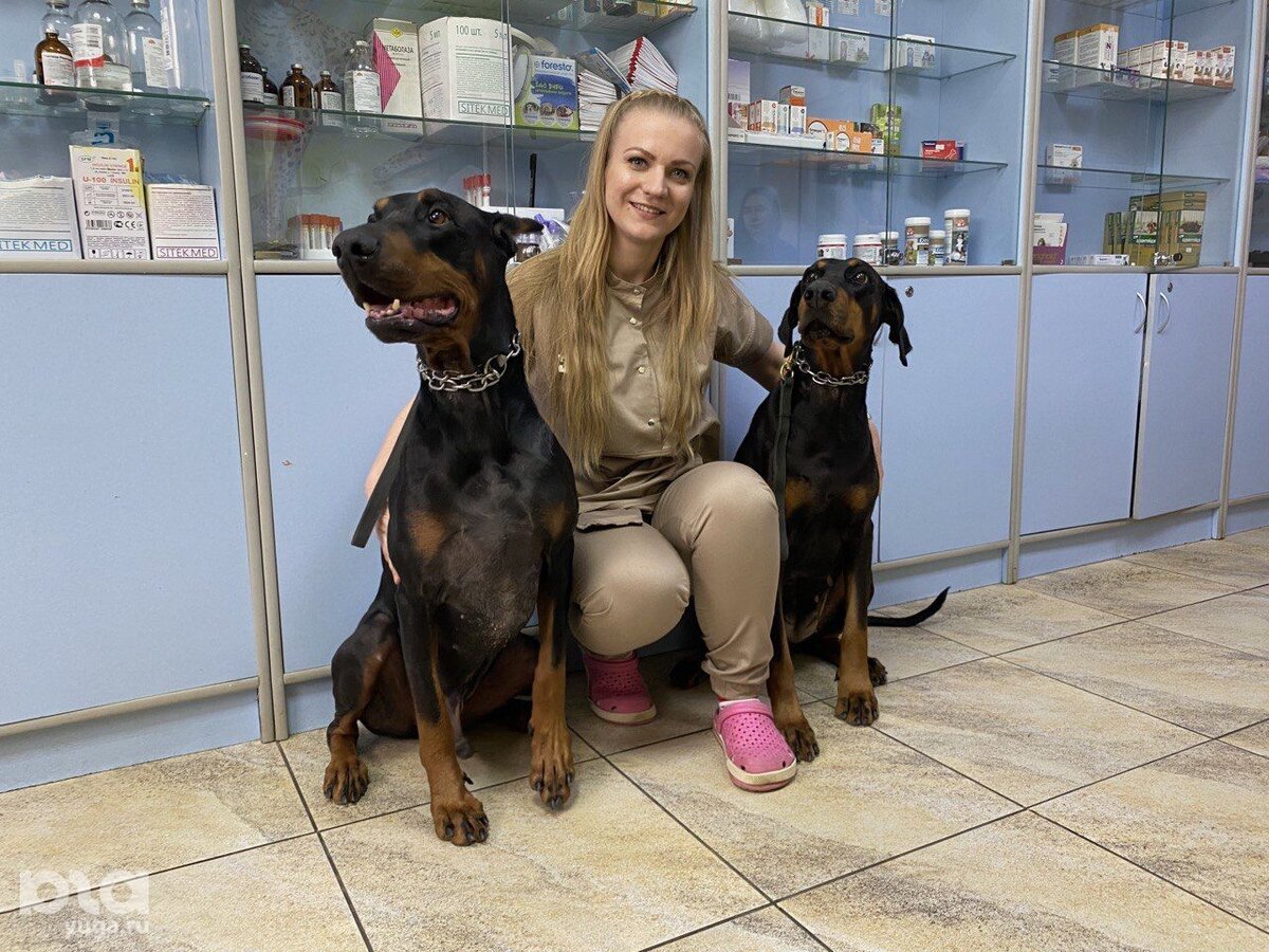 Ветеринар Софья Стрельникова и её доберманы — Оскар и Дрима © Фото Влады Мандрыка, Юга.ру