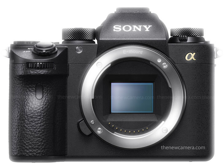    фото: thenewcamera