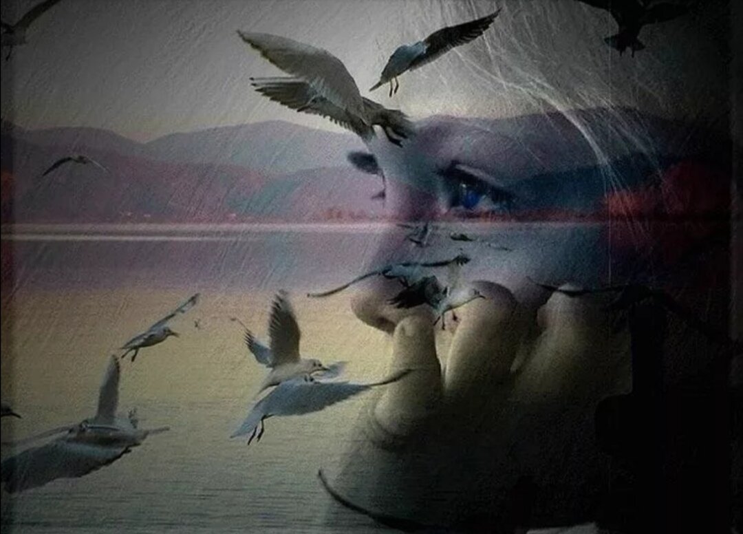 Картинка из интернета