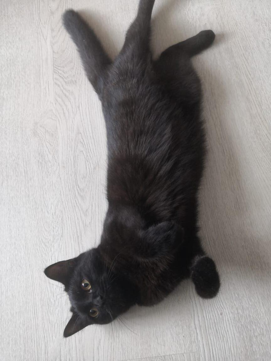 Фото автора статьи. 