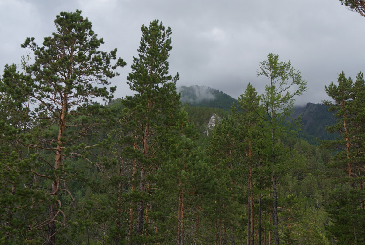 Ик прожектор для видеонаблюдения 12в. Пик 12. Пик 12. Ик прожектор ик пик. Пик 12.
