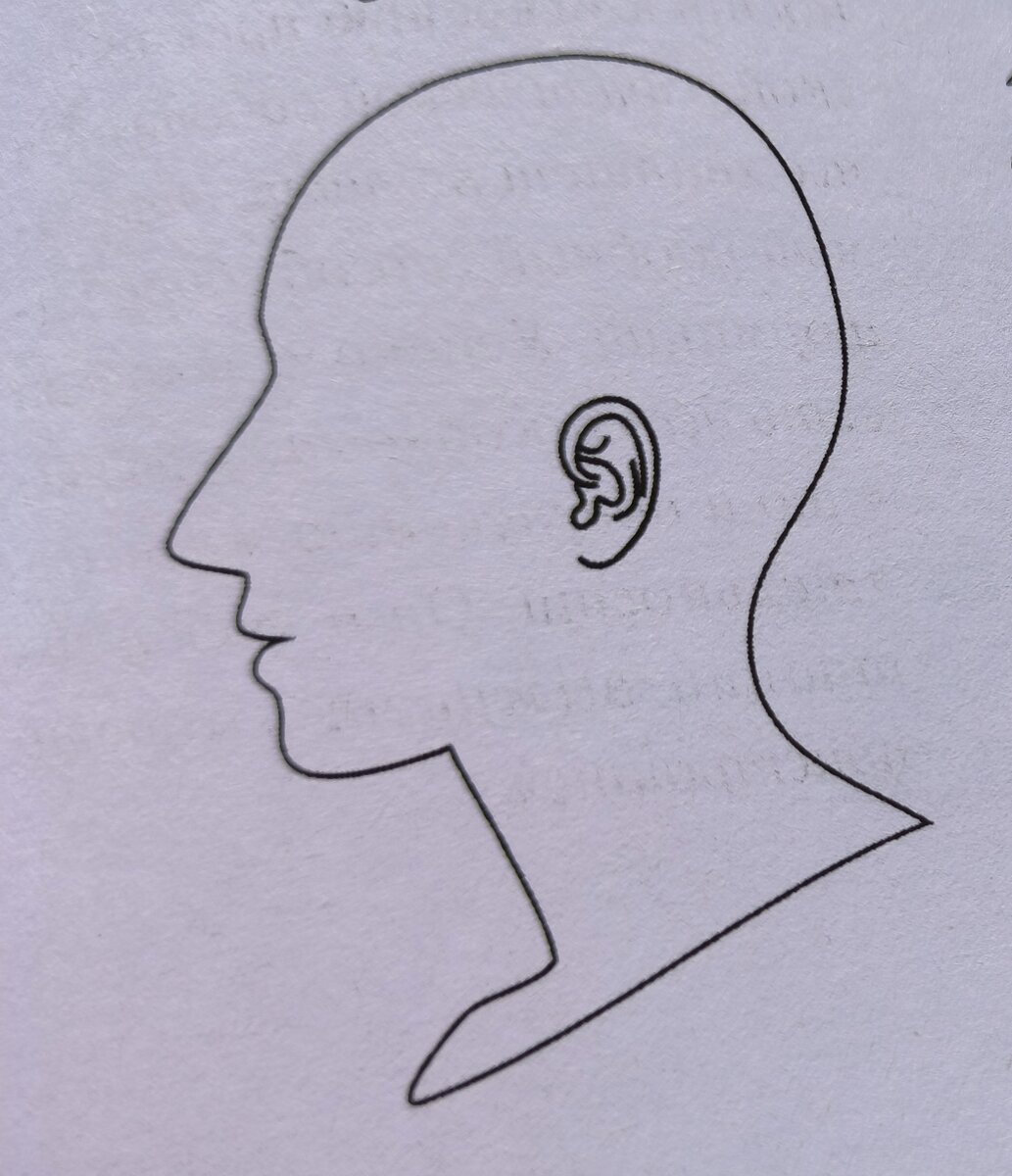 идеальная форма головы. идеальная форма головы.