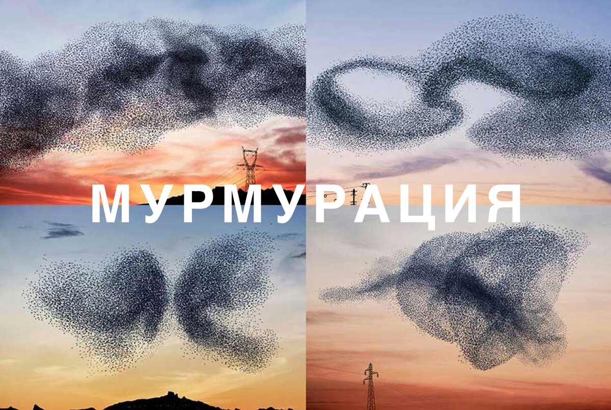 Яндекс/фото