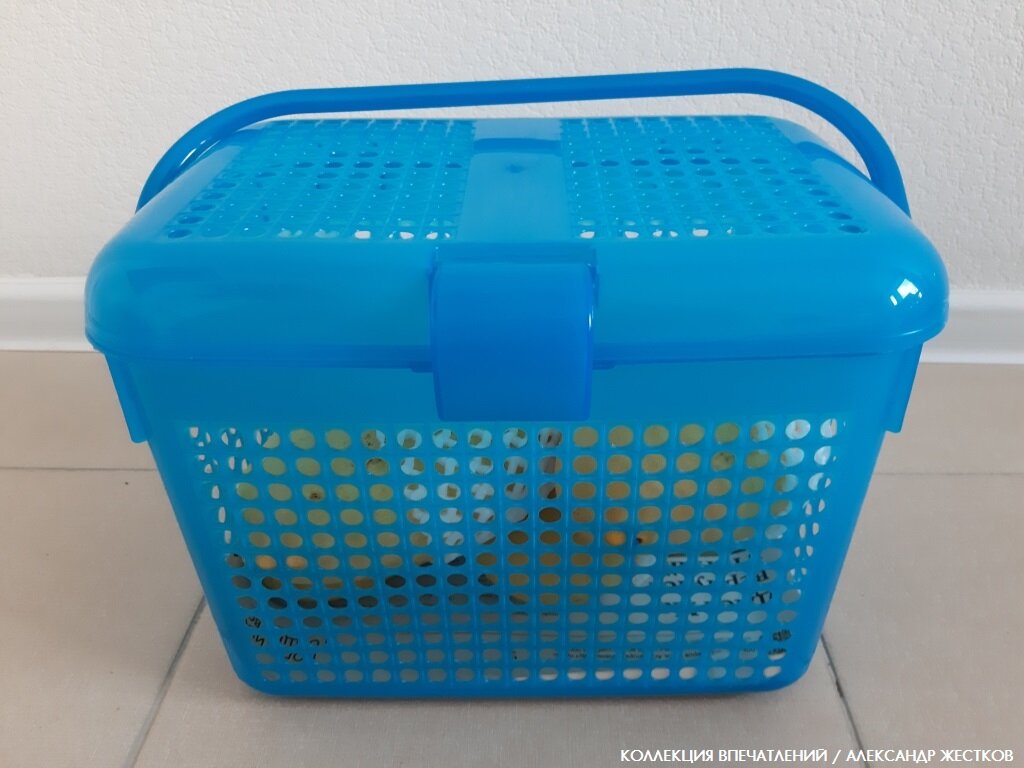 Как довезти фрукты из Таиланда, чтобы они не испортились | Коллекция ...