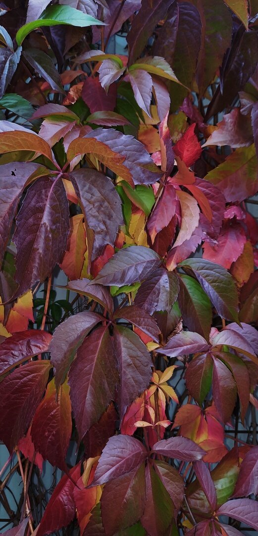 фото с осени 2022 года