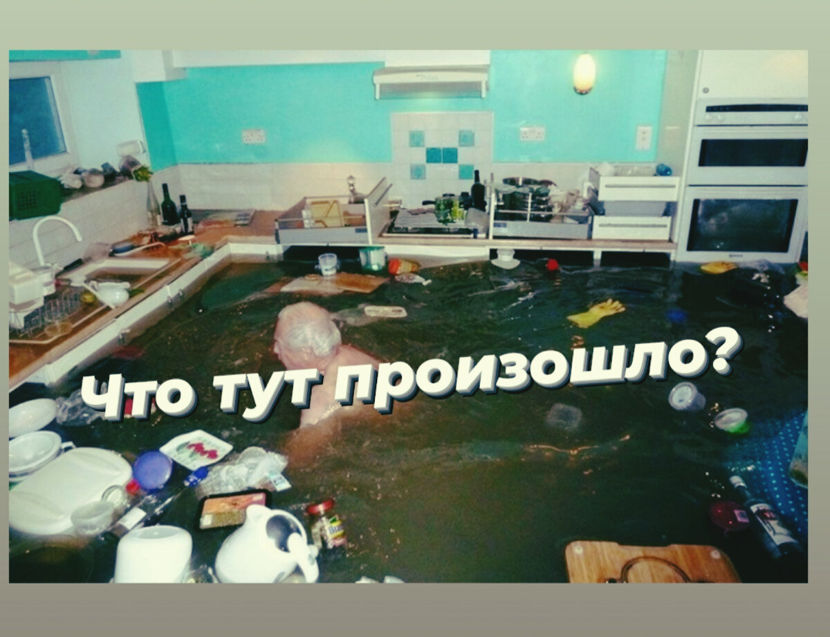 Фото Яндекс картинки открытый источник. 
