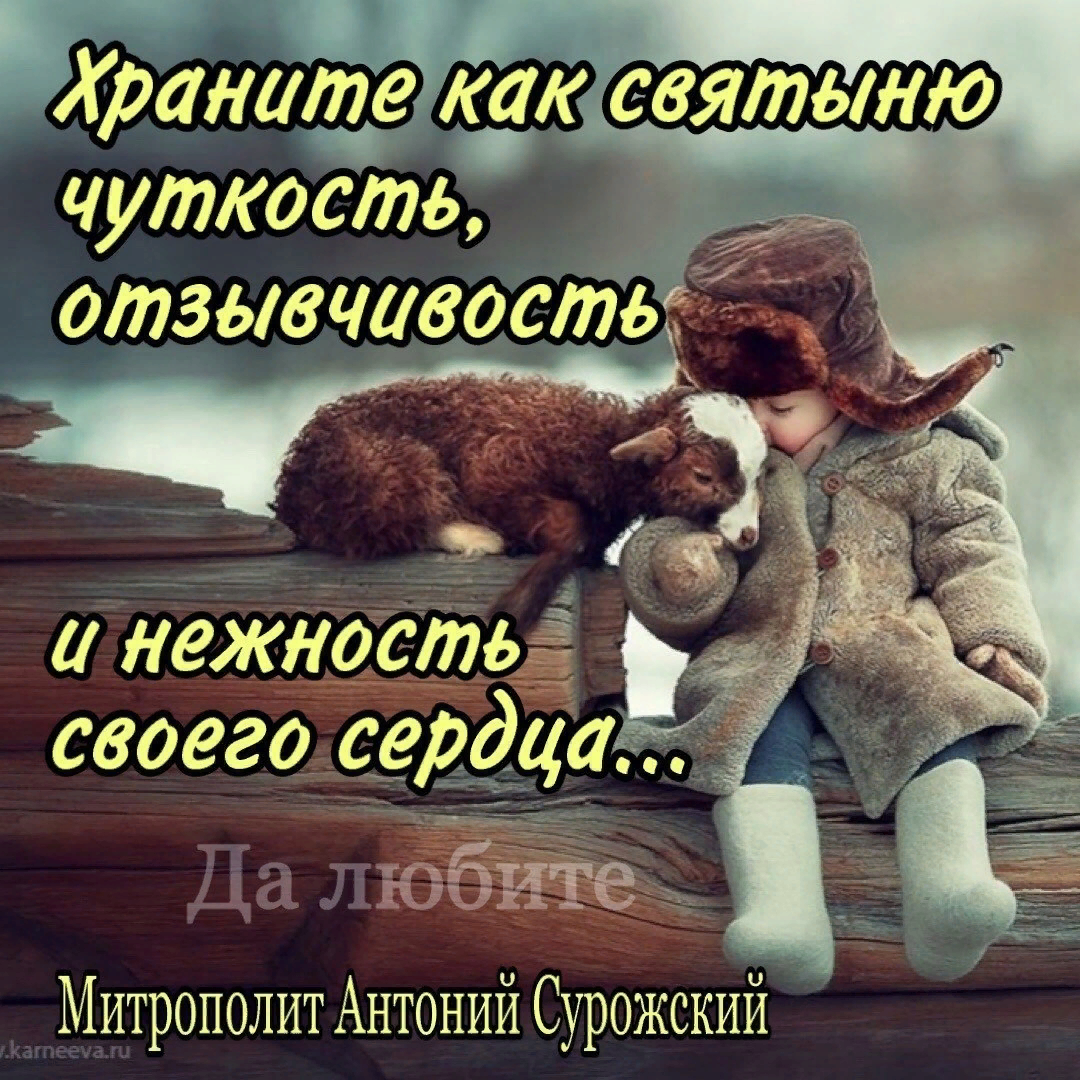 понятие слова чуткость. чуткость и внимательность качества. доброта дети. чуткость отзывчивость. чуткость отзывчивость.