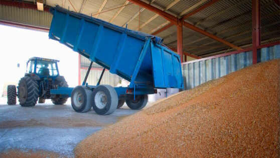    МИД: Россия указала ООН на отсутствие прогресса по экспорту сельхозпродукции Ксения Пудовкина