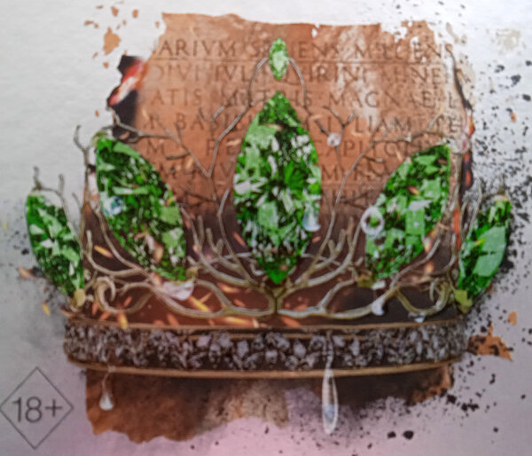 Фрагмент обложки книги "Корона пепла", фото автора канала