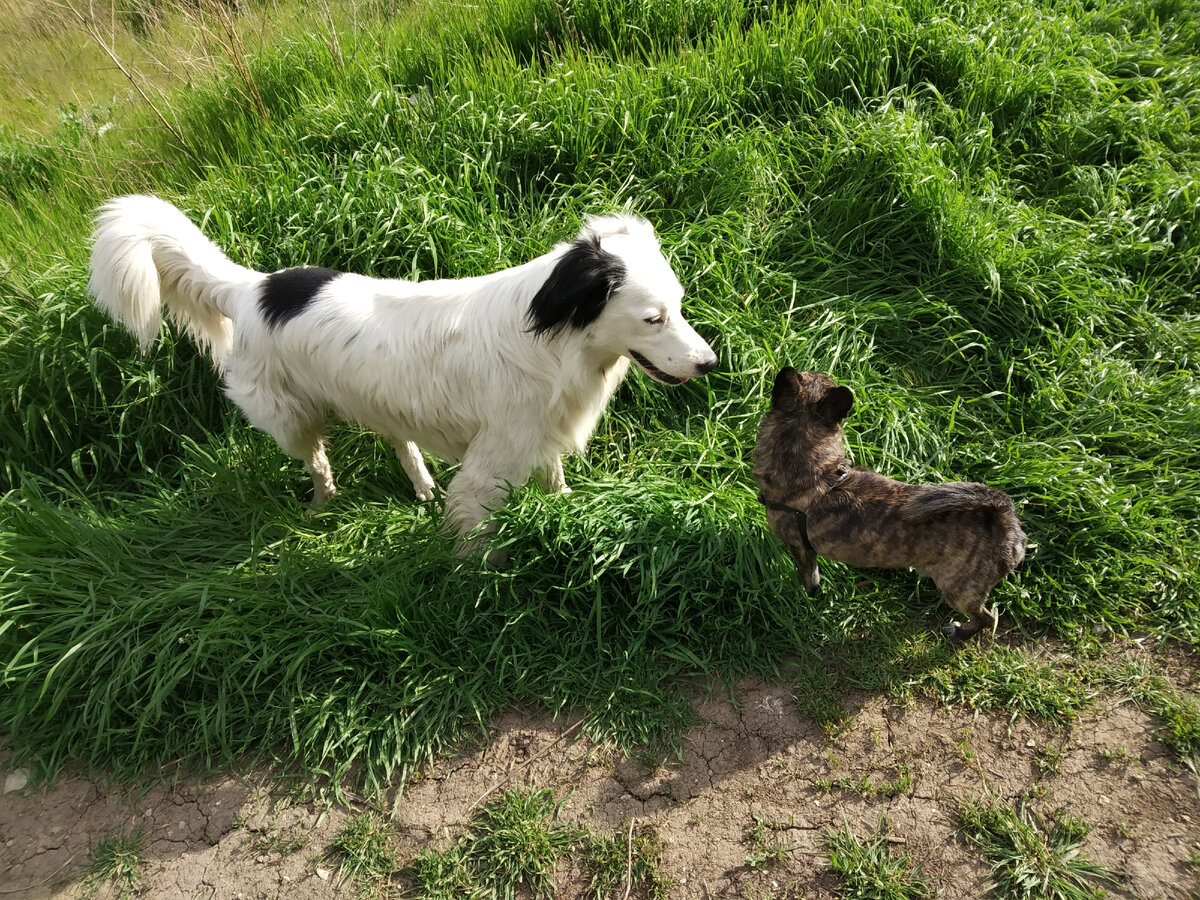 Фото автора публикации