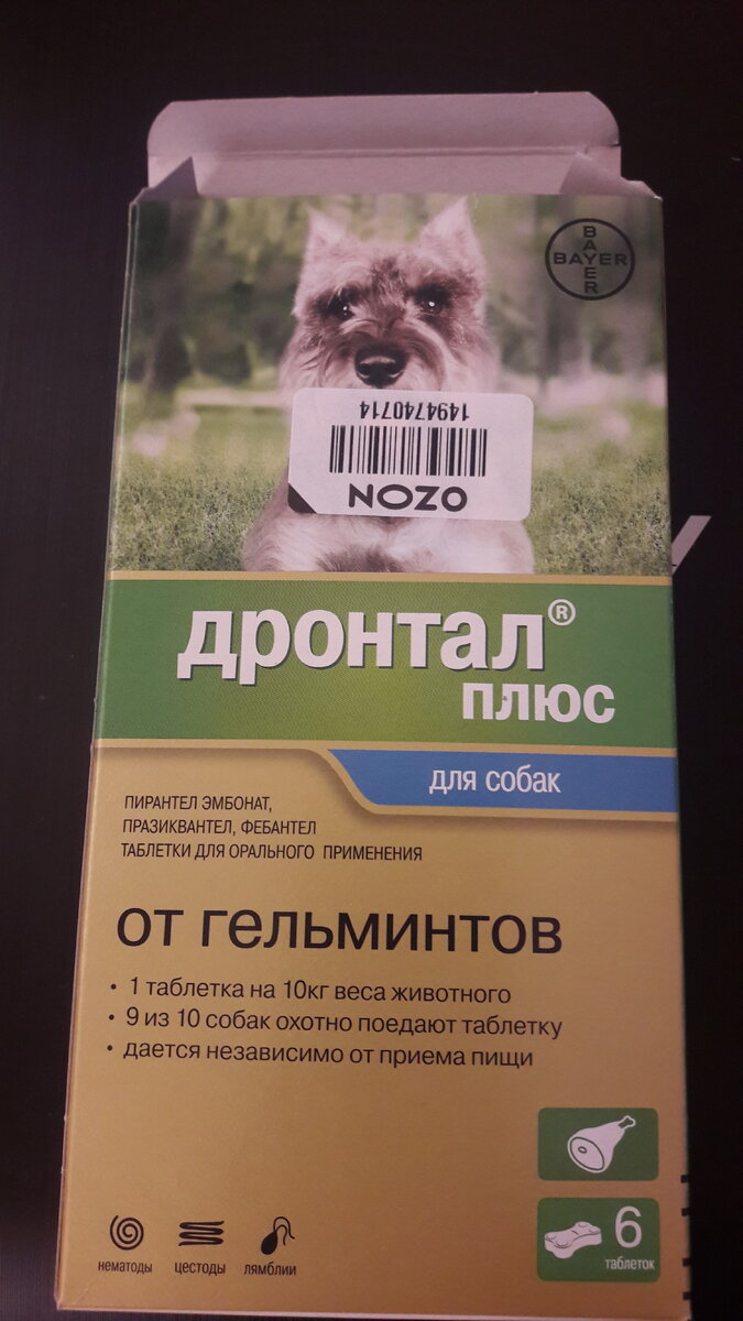 Нашему собакену понравилось