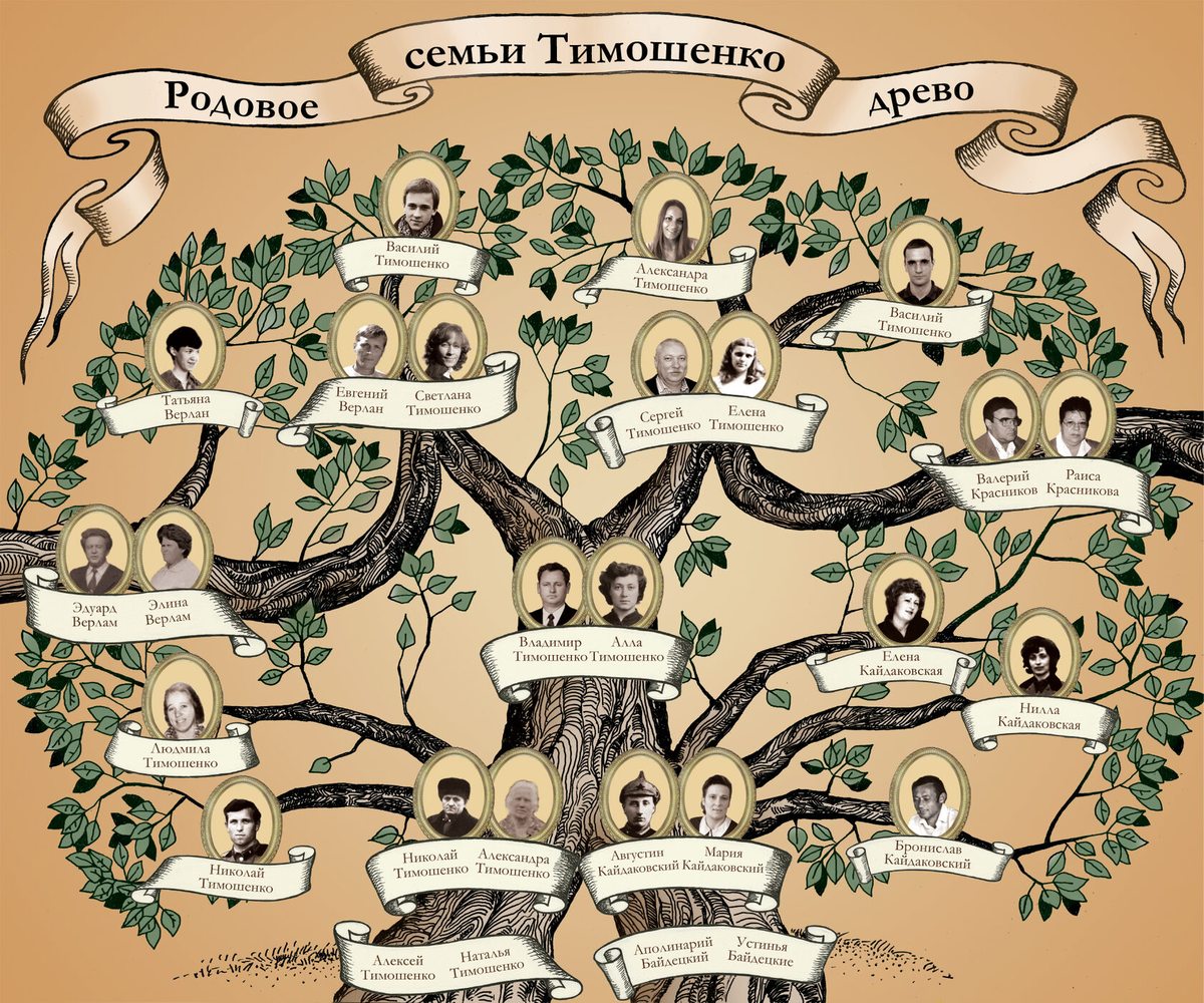 Составление генеалогического дерева. Составление генеалогического древа. Составление дерева семьи. Составление древа родословной.