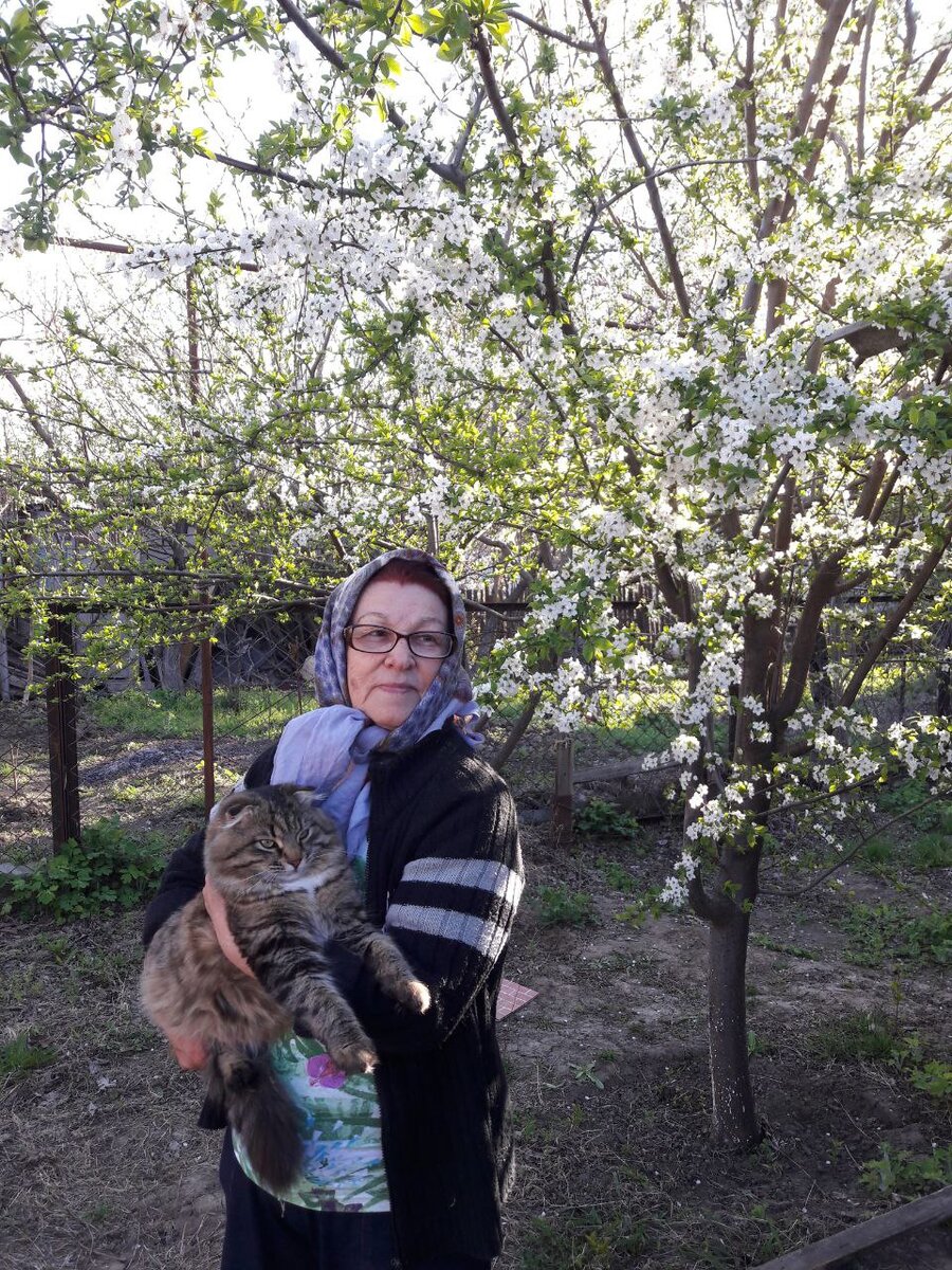 Моя бабушка с котом Барсиком