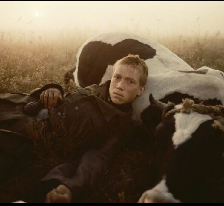 Фотокадр из фильма "Иди и смотри", 1985 год. Алексей Кравченко в главной роли