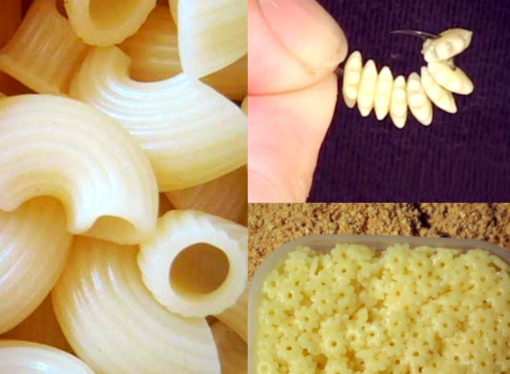 Фото из открытых источников.