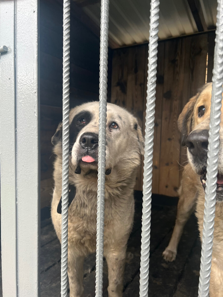 Там про сон рассказывают: иди, послушай!