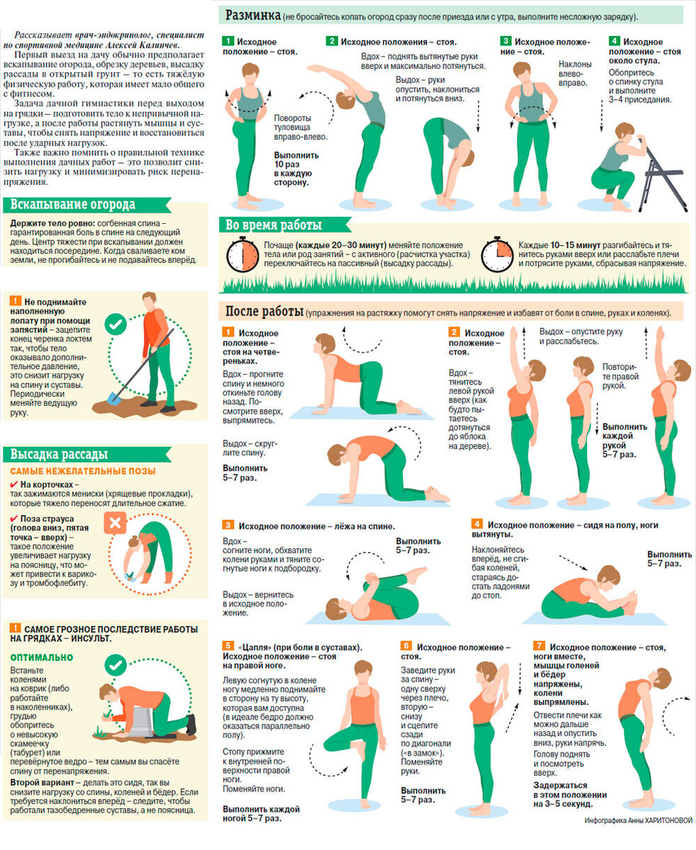    Нажмите для увеличения. Фото: shutterstock.com