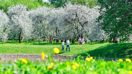    Пятница стала самым теплым днем весны в Москве Алина Городниченко