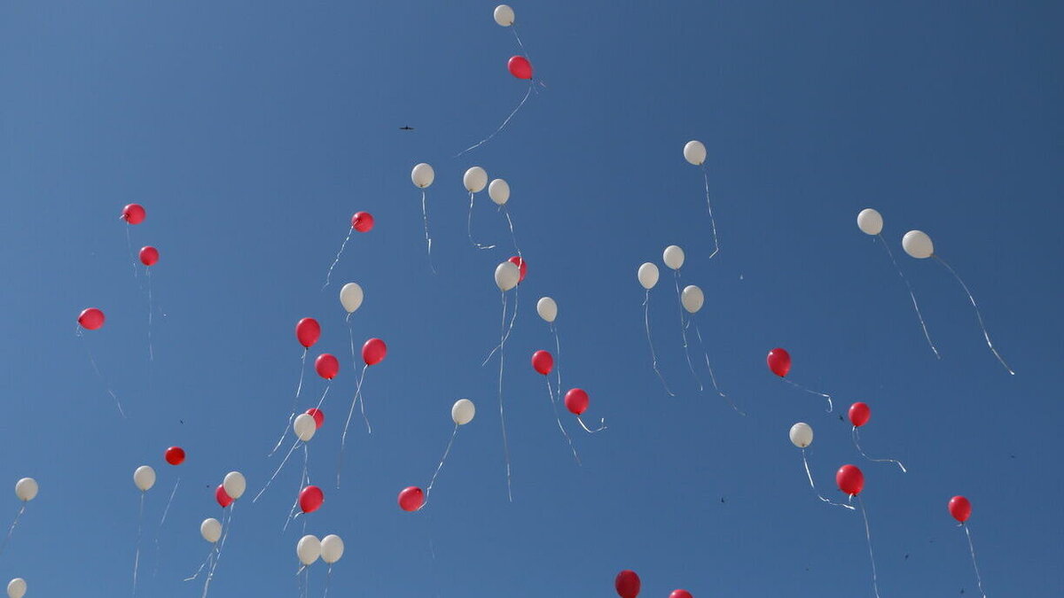     В этом году школу окончат более 4,5 тысячи одиннадцатиклассников, сообщает мэрия Уфы.