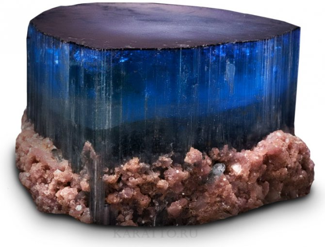 Фото из открытых источников