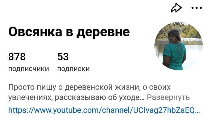 Скрин автора