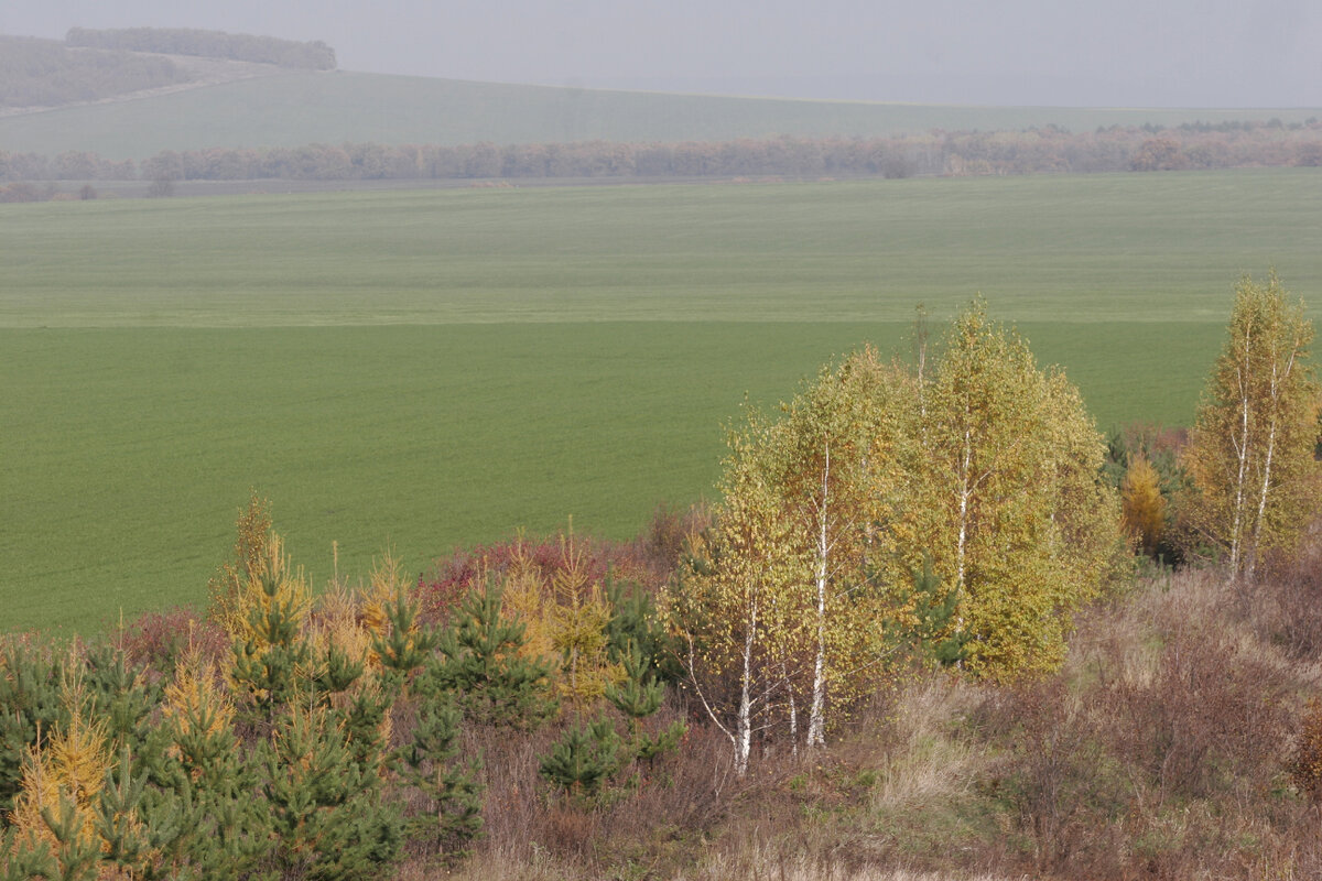 Фото: Nikolay Titov/Global Look Press