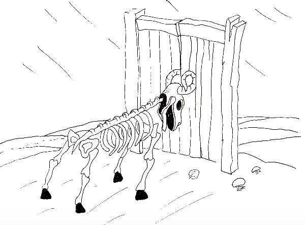 Рисунок Анастасии Перевощиковой