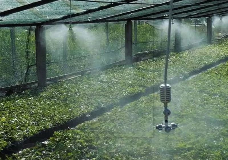 Система туманообразования в работе
