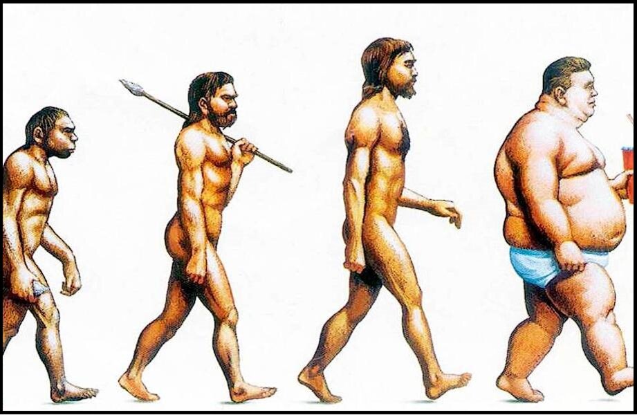 Человек который развивается сам. Хомо сапиенс Эволюция. Эволюция человека Дробышевский. Теория эволюции Дробышевский. Первый человек Эволюция.