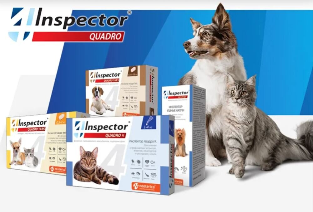 Inspector quadro tabs цены. Inspector Quadro Tabs. Инспектор Квадро табс 2-8 кг. Инспектор Квадро табс для кошек. Таблетки инспектор табс для кошек Квадро.