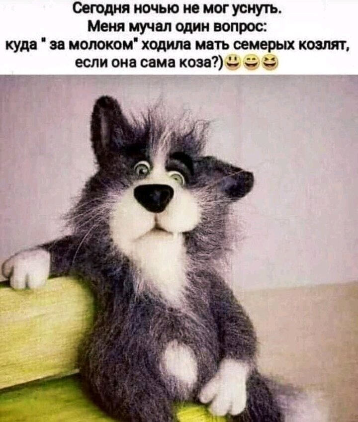 Фото взято из сети интернет 