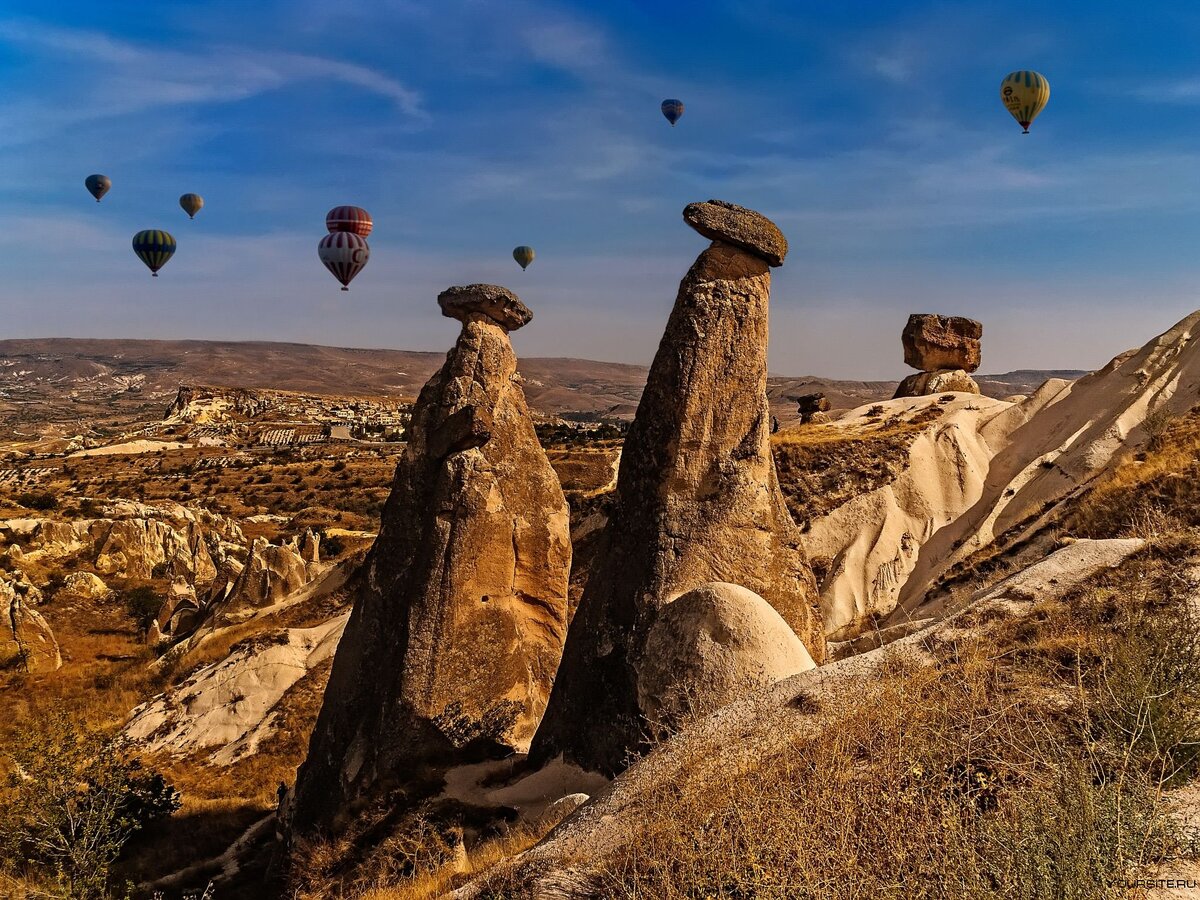 Фото из отрытых источников