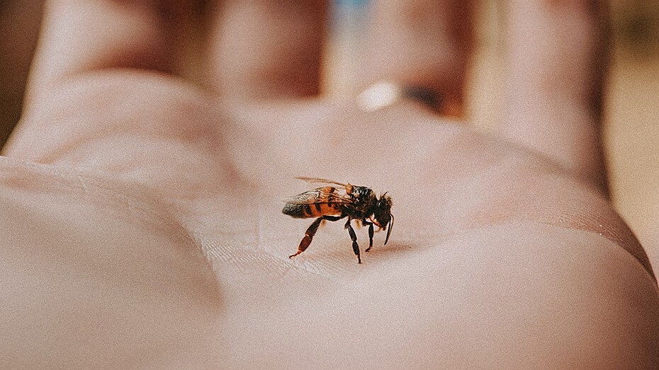     Источник здесь и далее: unsplash.com