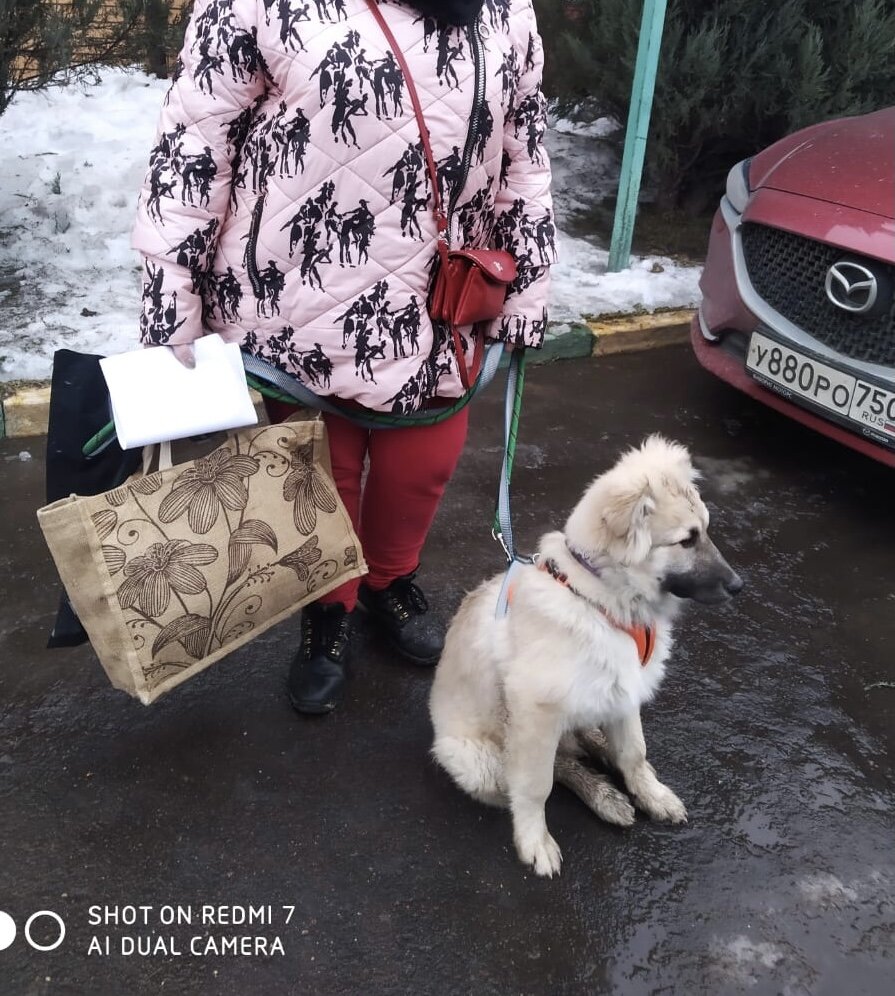 День, когда Лорд уехал из приюта 