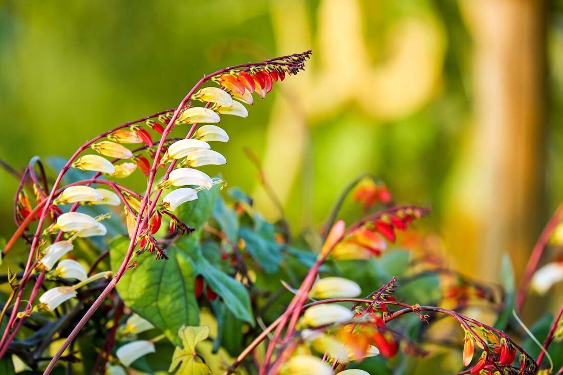 Фото: pixabay.com