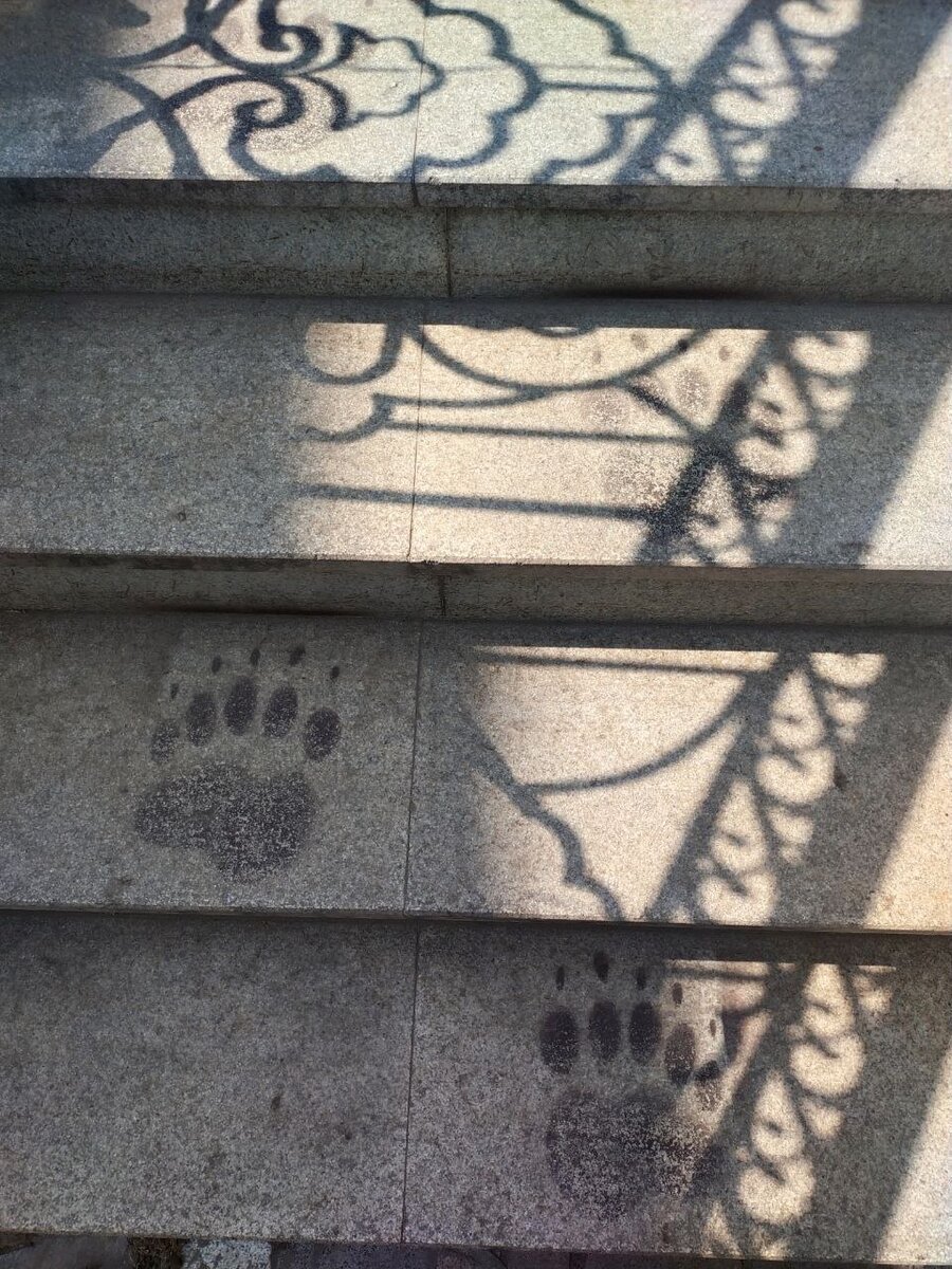 Топ-топ-топ