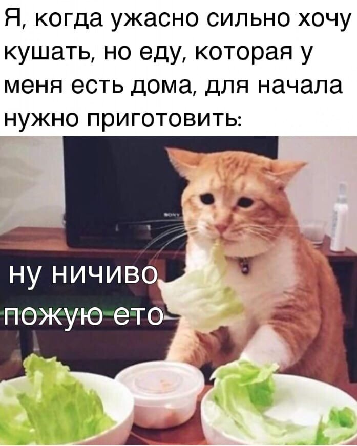 Изображение из Интернета