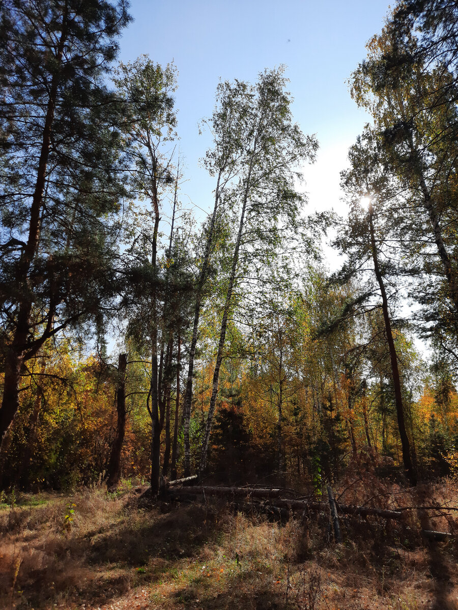 Среди людей совершенства нет