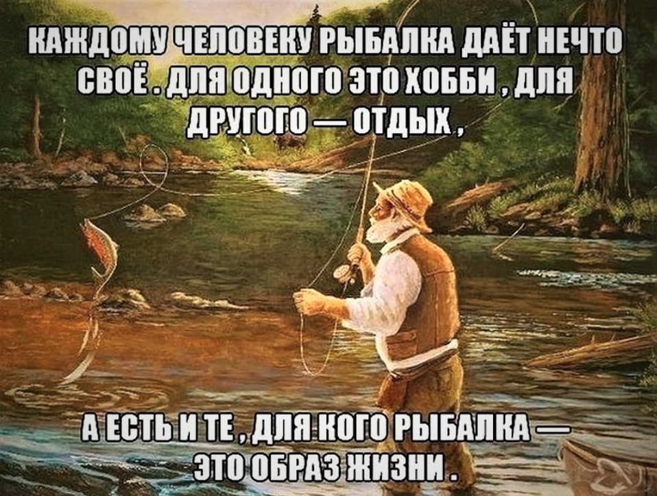 Ничего не ловит. Цитаты про рыбалку. Высказывания про рыбалку. Афоризмы про рыбалку. Афоризмы про рыбалку смешные.